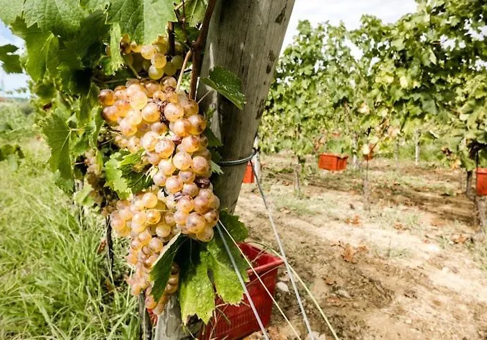 Casa Baldassini Casa vacanze Aulla